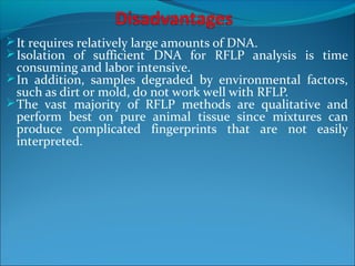 It requires relatively large amounts of DNA.
Isolation of sufficient DNA for RFLP analysis is time
consuming and labor intensive.
In addition, samples degraded by environmental factors,
such as dirt or mold, do not work well with RFLP.
The vast majority of RFLP methods are qualitative and
perform best on pure animal tissue since mixtures can
produce complicated fingerprints that are not easily
interpreted.
 