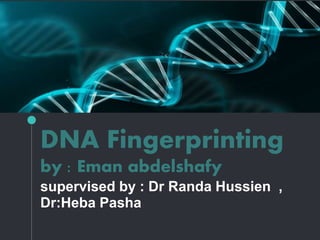 DNA Fingerprinting
by : Eman abdelshafy
supervised by : Dr Randa Hussien ,
Dr:Heba Pasha
 