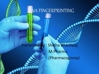 DNA FINGERPRINTING
Presented By : Shikha Bhardwaj
M.Pharma
(Pharmacognosy)
 