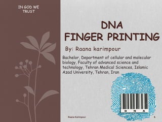 By: Raana karimpour
DNA
FINGER PRINTING
IN GOD WE
TRUST
1Raana Karimpour
Bachelor, Department of cellular and molecular
biology, Faculty of advanced science and
technology, Tehran Medical Sciences, Islamic
Azad University, Tehran, Iran
 