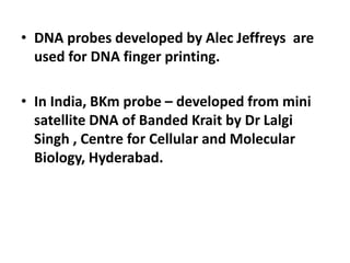 • DNA probes developed by Alec Jeffreys are
used for DNA finger printing.
• In India, BKm probe – developed from mini
satellite DNA of Banded Krait by Dr Lalgi
Singh , Centre for Cellular and Molecular
Biology, Hyderabad.
 