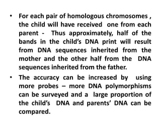• For each pair of homologous chromosomes ,
the child will have received one from each
parent - Thus approximately, half of the
bands in the child’s DNA print will result
from DNA sequences inherited from the
mother and the other half from the DNA
sequences inherited from the father.
• The accuracy can be increased by using
more probes – more DNA polymorphisms
can be surveyed and a large proportion of
the child’s DNA and parents’ DNA can be
compared.
 