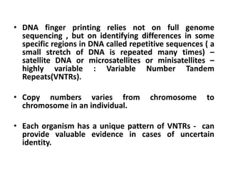 • DNA finger printing relies not on full genome
sequencing , but on identifying differences in some
specific regions in DNA called repetitive sequences ( a
small stretch of DNA is repeated many times) –
satellite DNA or microsatellites or minisatellites –
highly variable : Variable Number Tandem
Repeats(VNTRs).
• Copy numbers varies from chromosome to
chromosome in an individual.
• Each organism has a unique pattern of VNTRs - can
provide valuable evidence in cases of uncertain
identity.
 