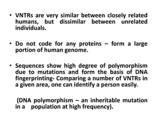 • VNTRs are very similar between closely related
humans, but dissimilar between unrelated
individuals.
• Do not code for any proteins – form a large
portion of human genome.
• Sequences show high degree of polymorphism
due to mutations and form the basis of DNA
fingerprinting- Comparing a number of VNTRs in
a given area, one can identify a person easily.
(DNA polymorphism – an inheritable mutation
in a population at high frequency).
 