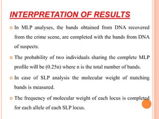 INTERPRETATION OF RESULTS
 In MLP analyses, the bands obtained from DNA recovered
from the crime scene, are completed with the bands from DNA
of suspects.
 The probability of two individuals sharing the complete MLP
profile will be (0.25n) where n is the total number of bands.
 In case of SLP analysis the molecular weight of matching
bands is measured.
 The frequency of molecular weight of each locus is completed
for each allele of each SLP locus.
 