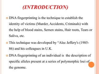 (INTRODUCTION)
 DNA fingerprinting is the technique to establish the
identity of victims (Murder, Accidents, Criminals) with
the help of blood stains, Semen stains, Hair roots, Tears or
Saliva, etc.
 This technique was developed by “Alec Jeffery's (1985-
86) and his colleagues in U.K.
 DNA fingerprinting of an individual is the description of
specific alleles present at a series of polymorphic loci of
the genome.
 