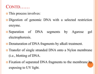 CONTD……
 This process involves:
 Digestion of genomic DNA with a selected restriction
enzyme.
 Separation of DNA segments by Agarose gel
electrophoresis.
 Denaturation of DNA fragments by alkali treatment.
 Transfer of single stranded DNA onto a Nylon membrane
(i.e., blotting of DNA.
 Fixation of separated DNA fragments to the membrane by
exposing to UV light.
 