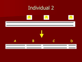Individual 2
A B C D
 