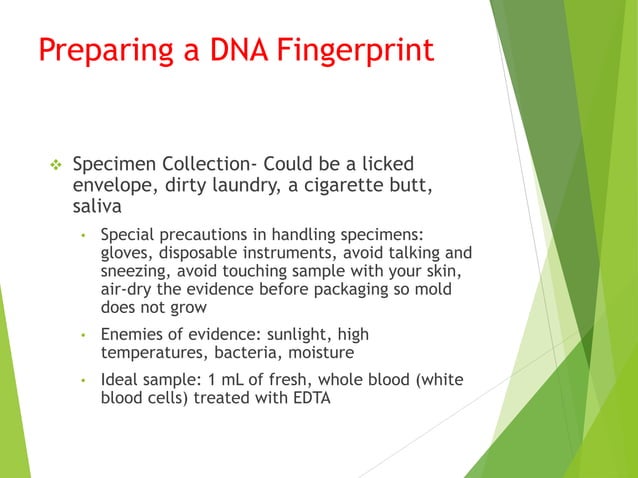 DNA FIngerprinting.ppt