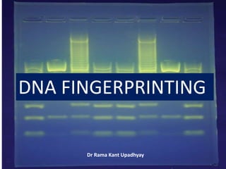 DNA FINGERPRINTING
Dr Rama Kant Upadhyay
 
