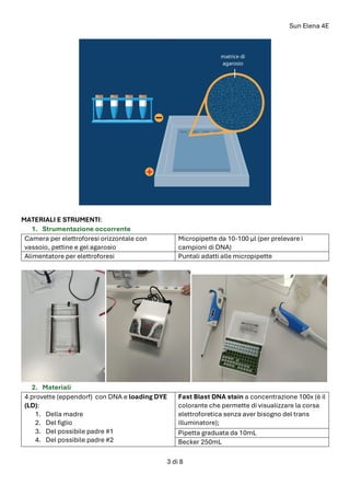 Sun Elena 4E
3 di 8
MATERIALI E STRUMENTI:
1. Strumentazione occorrente
Camera per elettroforesi orizzontale con
vassoio, pettine e gel agarosio
Micropipette da 10-100 µl (per prelevare i
campioni di DNA)
Alimentatore per elettroforesi Puntali adatti alle micropipette
2. Materiali
4 provette (eppendorf) con DNA e loading DYE
(LD):
1. Della madre
2. Del figlio
3. Del possibile padre #1
4. Del possibile padre #2
Fast Blast DNA stain a concentrazione 100x (è il
colorante che permette di visualizzare la corsa
elettroforetica senza aver bisogno del trans
illuminatore);
Pipetta graduata da 10mL
Becker 250mL
 