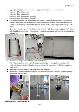 Sun Elena 4E
5 di 8
• Aggiungere 10 μl di ciascun campione nei pozzetti utilizzando una micropipetta.
Pozzetto1- DNA della madre
Pozzetto2- DNA del bambino
Pozzetto3- DNA del possibile padre #1
Pozzetto4- DNA del possibile padre #2
• Chiudere il coperchio dell’alimentatore, accendere l’alimentatore e verificare il passaggio di
corrente attraverso l’emissione di bolle in prossimità degli elettrodi. La corsa elettroforetica
necessita di un voltaggio di circa 12-15 V/cm. Per un gel di 8 cm di lunghezza il voltaggio è di
100 V.
• Quando il fronte di migrazione indicato dal Loading Dye (LD) di colore blu raggiunge la fine del
gel (circa 90 minuti) staccare l’alimentatore e procedere alla colorazione per la visualizzazione
delle bande.
3. Colorazione del gel mediante Fast Blast DNA Stain
• Una volta arrestata la corsa elettroforetica, estrarre il gel e immergerlo in una vaschetta
contenete il colorante del DNA ad una concentrazione di 1x per circa 20-30 minuti, agitando
lentamente
• Trasferire il gel in un nuovo contenitore per la decolorazione
• Decolorare il gel mediante due lavaggi in acqua calda di 5 minuti ciascuno, sempre agitando
lentamente e con cautela
OSSERVAZIONE e CONCLUSIONE:
 