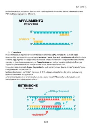 Sun Elena 4E
8 di 8
di nostro interesse, formando delle porzioni che fungeranno da innesco. In una stessa reazione di
PCR si utilizzano più primer differenti.
3. Estensione
In questa fase la temperatura viene fatta risalire attorno ai 72°C in modo che la polimerasi
(termostabile anche ad alte temperature) sintetizzi i nuovi filamenti complementari nella direzione
corretta, aggiungendo uno dopo l'altro i nucleotidi (i nostri mattoncini) complementari al filamento
stampo. In vitro si usa generalmente la Taq polimerasi, un enzima estratto dal batterio Thermus
aquaticus che resiste alle alte temperature e non si denatura durante i cicli.
In questo modo si ricrea il doppio filamento che sarà quindi formato da una stringa "originale" e una
complementare nuova di zecca.
Ipotizzando di essere partiti da 1 filamento di DNA a doppia elica alla fine del primo ciclo avremo
ottenuto 2 filamenti a doppia elica.
Al termine di questa fase la temperatura torna a salire fino a 90°C, denaturando nuovamente i
filamenti e facendo ricominciare il ciclo.
 