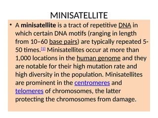 Minisatellite Example DNA fingerprinting presentation for B.SC
