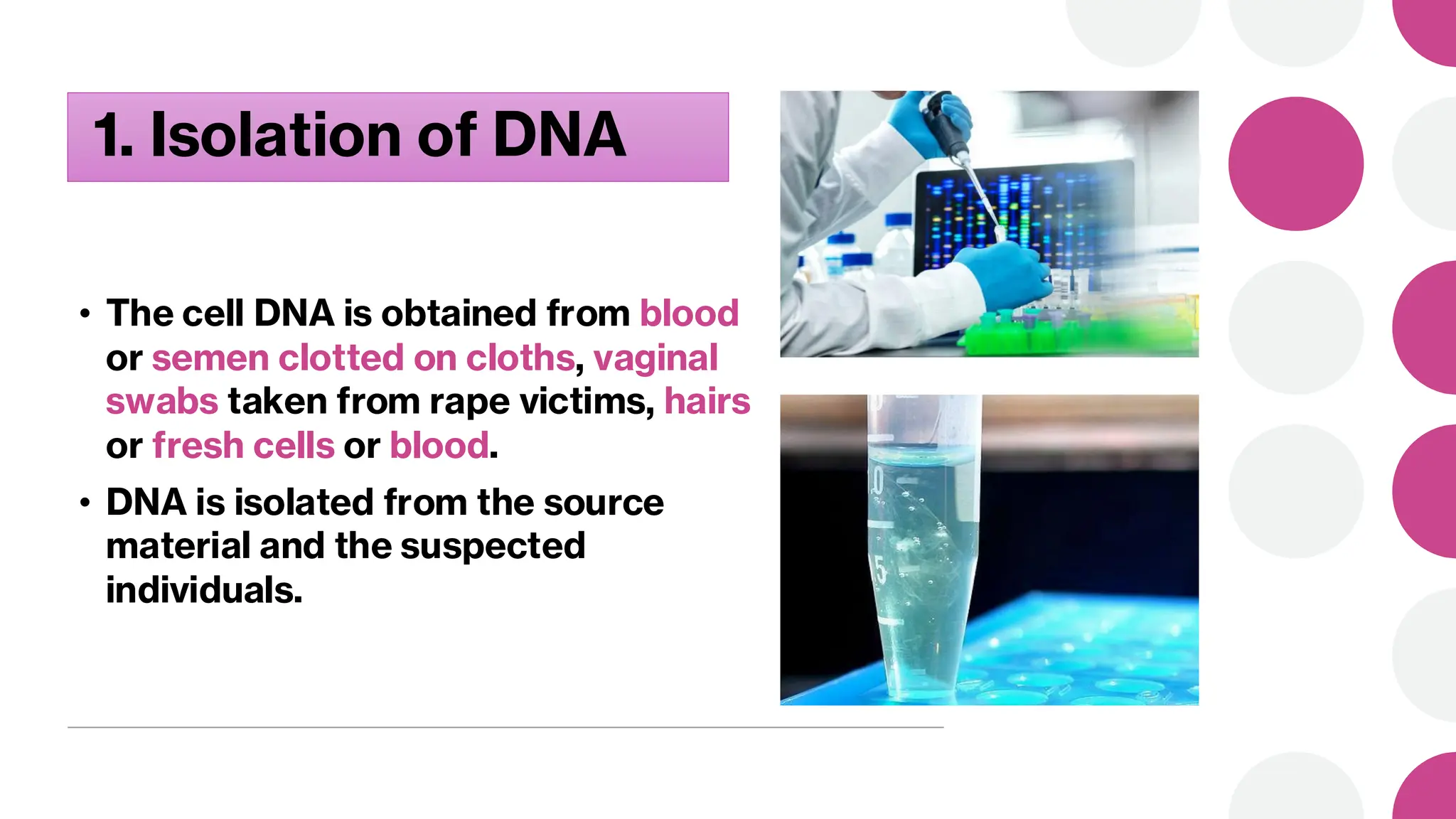 1. Isolation of DNA
• The cell DNA is obtained from blood
or semen clotted on cloths, vaginal
swabs taken from rape victims, hairs
or fresh cells or blood.
• DNA is isolated from the source
material and the suspected
individuals.
 