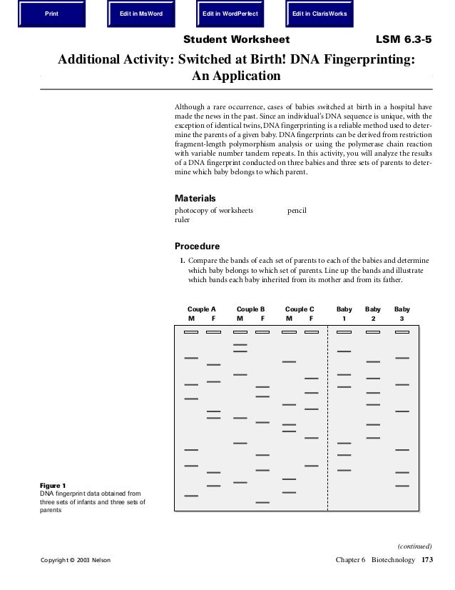Dna Fingerprinting And Paternity Answer Key Dna Fingerprinting Worksheet Answers Dna 