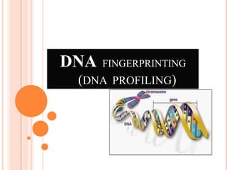 DNA FINGERPRINTING
(DNA PROFILING)
 