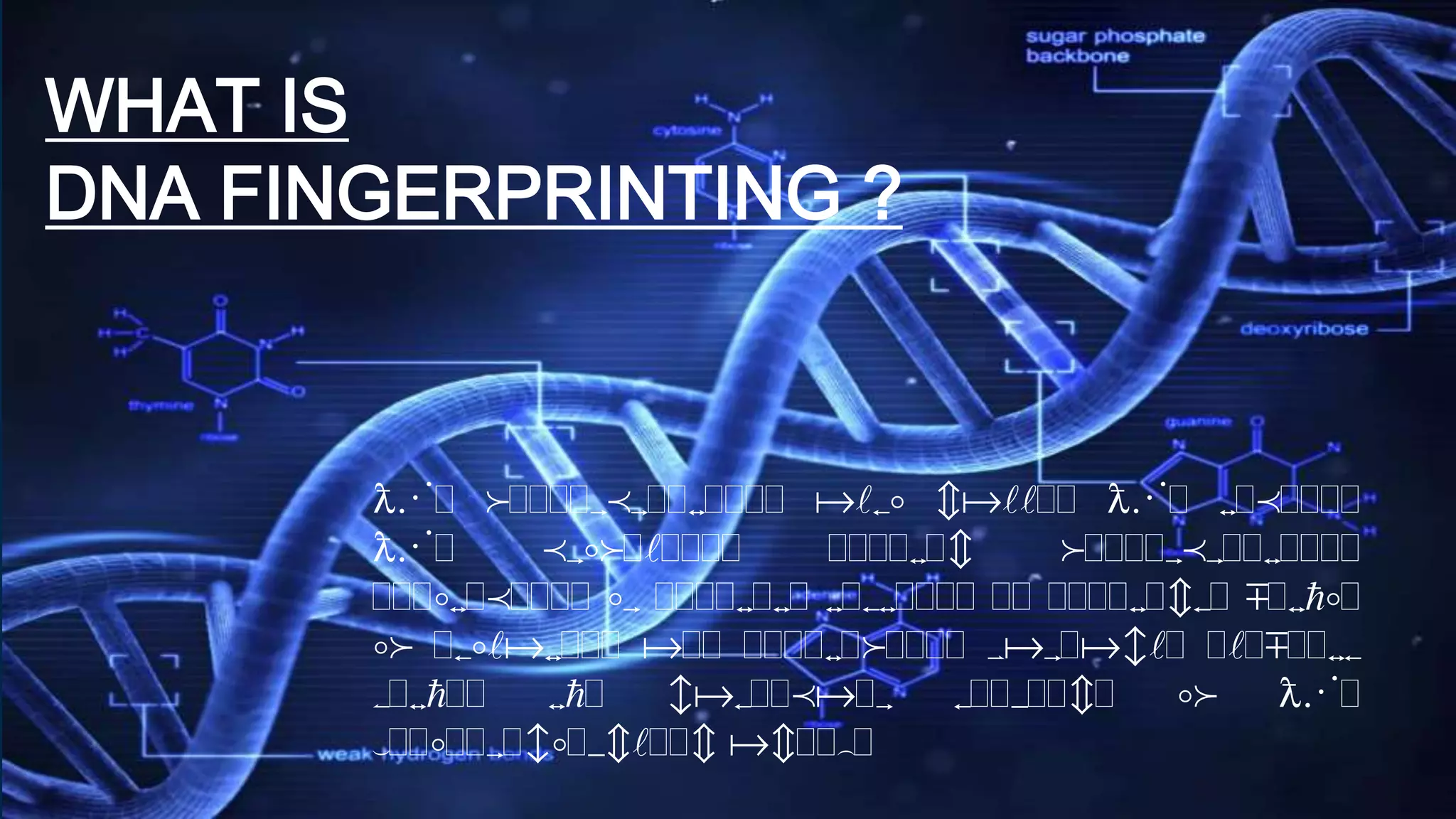 DNA Fingerprinting | PPTX | Genetics | Science