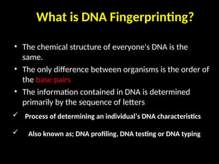 Dna Lettering Classification DNAfingerprinting for taxonomy and Phylogeny | PPT