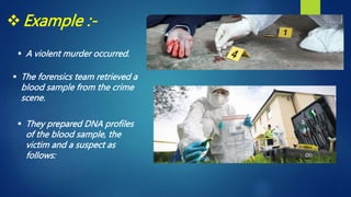DNA FINGERPRINT (new).pptx