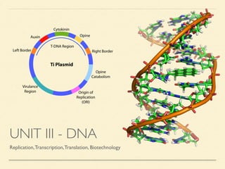 UNIT III - DNA 
Replication, Transcription, Translation, Biotechnology 
 