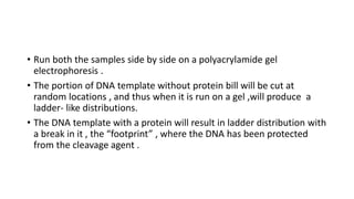 • Run both the samples side by side on a polyacrylamide gel
electrophoresis .
• The portion of DNA template without protein bill will be cut at
random locations , and thus when it is run on a gel ,will produce a
ladder- like distributions.
• The DNA template with a protein will result in ladder distribution with
a break in it , the “footprint” , where the DNA has been protected
from the cleavage agent .
 