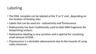Labeling
• The DNA template can be labeled at the 3’ or 5’ end , depending on
the location of binding sites .
• Labels that can be used are : radioactivity and fluorescence .
• Radioactivity has been traditionally used to label DNA fragments for
footprinting analysis.
• Radioactive labelling is very sensitive and is optimal for visualising
small amount of DNA .
• Fluorescence is a desirable advancement due to the hazards of using
radio-chemicals .
 