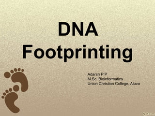 DNA
Footprinting
Adarsh P P
M.Sc. Bioinformatics
Union Christian College, Aluva
 