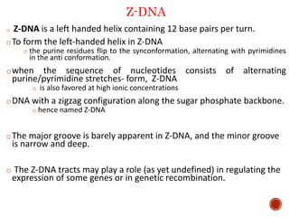 Z-DNA
o Z-DNA is a left handed helix containing 12 base pairs per turn.
oTo form the left-handed helix in Z-DNA
o the purine residues flip to the synconformation, alternating with pyrimidines
in the anti conformation.
owhen the sequence of nucleotides consists of alternating
purine/pyrimidine stretches- form, Z-DNA
o is also favored at high ionic concentrations
oDNA with a zigzag configuration along the sugar phosphate backbone.
o hence named Z-DNA
oThe major groove is barely apparent in Z-DNA, and the minor groove
is narrow and deep.
o The Z-DNA tracts may play a role (as yet undefined) in regulating the
expression of some genes or in genetic recombination.
19
 