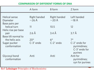 COMPARISON OF DIFFERENT FORMS OF DNA
21
Ref: Lehninger Principles of Biochemistry
 