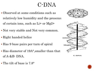  Observed at some conditions such as
relatively low humidity and the presence
of certain ions, such as Li+ or Mg2+
 Not very stable and Not very common.
 Right handed helice
 Has 9 base pairs per turn of spiral
 Has diameter of 19A°,smaller than that
of A-&B- DNA.
 The tilt of base is 7.8°
 