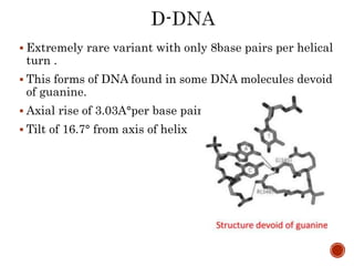  Extremely rare variant with only 8base pairs per helical
turn .
 This forms of DNA found in some DNA molecules devoid
of guanine.
 Axial rise of 3.03A°per base pairs .
 Tilt of 16.7° from axis of helix
 
