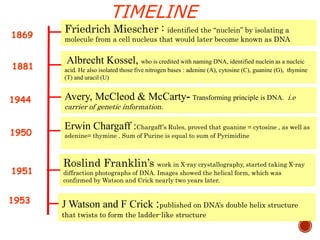 TIMELINE
1869
Friedrich Miescher : identified the “nuclein” by isolating a
molecule from a cell nucleus that would later become known as DNA
1881
Albrecht Kossel, who is credited with naming DNA, identified nuclein as a nucleic
acid. He also isolated those five nitrogen bases : adenine (A), cytosine (C), guanine (G), thymine
(T) and uracil (U)
1950
Avery, McCleod & McCarty- Transforming principle is DNA. i.e
carrier of genetic information.
1944
Roslind Franklin’s work in X-ray crystallography, started taking X-ray
diffraction photographs of DNA. Images showed the helical form, which was
confirmed by Watson and Crick nearly two years later.
Erwin Chargaff :Chargaff’s Rules, proved that guanine = cytosine , as well as
adenine= thymine . Sum of Purine is equal to sum of Pyrimidine
1951
1953 J Watson and F Crick :published on DNA’s double helix structure
that twists to form the ladder-like structure
 