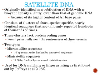 SATELLITE DNA
 Originally identified as a subfraction of DNA with a
buoyant density slightly lower than that of genomic DNA
 because of its higher content of AT base pairs.
 Consists of clusters of short, species-specific, nearly
identical sequences that are tandemly repeated hundreds
of thousands of times.
 These clusters lack protein-coding genes
 Found principally near the centromeres of chromosomes.
 Two types
 Microsatellite sequences
 1-6 bp repeat units flanked by conserved sequences
 Minisatellite sequences
 11-60 bp flanked by conserved restriction sites.
 Used for DNA matching or finger printing as first found
out by Jeffreys et al (1985).
 