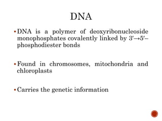DNA is a polymer of deoxyribonucleoside
monophosphates covalently linked by 3′→5′–
phosphodiester bonds
Found in chromosomes, mitochondria and
chloroplasts
Carries the genetic information
 