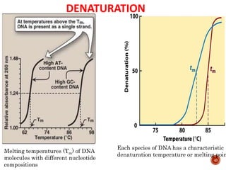 DENATURATION
43
Each species of DNA has a characteristic
denaturation temperature or melting poin
Melting temperatures (Tm) of DNA
molecules with different nucleotide
compositions
 