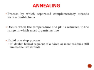 ANNEALING
 Process by which separated complementary strands
form a double helix
 Occurs when the temperature and pH is returned to the
range in which most organisms live
 Rapid one step process
 If double helical segment of a dozen or more residues still
unites the two strands
44
 