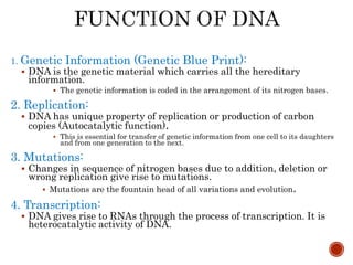 1. Genetic Information (Genetic Blue Print):
 DNA is the genetic material which carries all the hereditary
information.
 The genetic information is coded in the arrangement of its nitrogen bases.
2. Replication:
 DNA has unique property of replication or production of carbon
copies (Autocatalytic function).
 This is essential for transfer of genetic information from one cell to its daughters
and from one generation to the next.
3. Mutations:
 Changes in sequence of nitrogen bases due to addition, deletion or
wrong replication give rise to mutations.
 Mutations are the fountain head of all variations and evolution.
4. Transcription:
 DNA gives rise to RNAs through the process of transcription. It is
heterocatalytic activity of DNA.
 