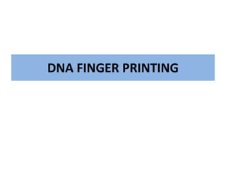 DNA FINGER PRINTING
 