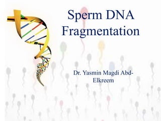 Sperm DNA
Fragmentation
Dr. Yasmin Magdi Abd-
Elkreem
 