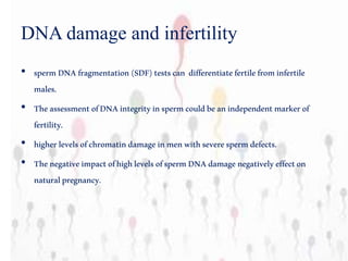 DNA damage and infertility
• spermDNAfragmentation(SDF)testscan differentiatefertilefrominfertile
males.
• Theassessment ofDNAintegrityinspermcouldbeanindependentmarkerof
fertility.
• higherlevelsofchromatindamageinmenwithseverespermdefects.
• ThenegativeimpactofhighlevelsofspermDNAdamagenegativelyeffecton
naturalpregnancy.
 