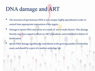 DNA damage and ART
• ThestructureofspermatozoaDNAisveryunique,highlyspecializedinorderto
controltime-appropriatematurationofthezygote.
• DamagetospermDNAmayoccurasaresultof uniormulti-factors.Thisdamage
therebymayhavenegativeeffectsonARTprocedures,andcouldleadtofailureof
fertilization.
• SpermDNAdamagesignificantlycontributestothegrowingnumberofinfertility
cases,andshouldbeapartofamodernandrologylab.
 