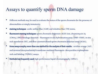 Assays to quantify sperm DNA damage
• Differentmethodsmaybeusedtoevaluatethestatusofthespermchromatinforthepresenceof
abnormalitiesorsimplyimmaturity
• stainingtechniques: acidicanilineblue(AAB)andtoluidineblue(TB)stains,
• fluorescentstainingtechniques:spermchromatindispersion(SCD)test,chromomycinA3
(CMA3),DNAbreakagedetection–fluorescentinsituhybridizationassay(DBD–FISH),insitu
nicktranslation(NT),andflowcytometricbasedspermchromatinstructureassay(SCSA).
• Someassaysemploymorethanonemethodfortheanalysisoftheirresults.: acridine orange(AO)
andterminaldeoxynucleotidyltransferase-mediatedfluorescein-deoxyuridinetriphosphate-
nickendlabeling(TUNEL)assays.
• Methodslessfrequentlyused:high-performanceliquidchromatography(HPLC).
 
