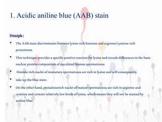 1. Acidic aniline blue (AAB) stain
Principle:
• TheAABstaindiscriminatesbetweenlysine-richhistonesandarginine/cysteine-rich
protamines.
• Thistechniqueprovidesaspecificpositivereactionforlysineandrevealsdifferencesinthebasic
nuclearproteincompositionofejaculatedhumanspermatozoa.
• Histone-richnucleiofimmaturespermatozoaarerichinlysineandwillconsequently
• takeupthebluestain.
• Ontheotherhand,protaminerichnucleiofmaturespermatozoaarerichinarginine and
cysteineandcontainrelativelylowlevelsoflysine,whichmeanstheywillnotbestainedby
aniline blue.
 