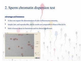 Advantagesandlimitations:
• Itdoesnotrequirethedeterminationofcolororfluorescenceintensity.
• Simple,fast,andreproducible,anditsresultsarecomparabletothoseoftheSCSA.
• littleisknownaboutitslimitationsanditsclinicalsignificance.
2. Sperm chromatin dispersion test
 