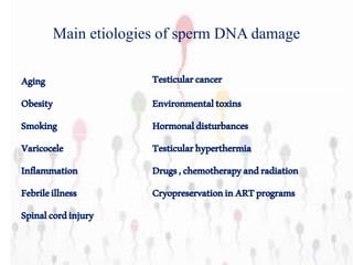 Main etiologies of sperm DNA damage
TesticularcancerAging
EnvironmentaltoxinsObesity
HormonaldisturbancesSmoking
TesticularhyperthermiaVaricocele
Drugs,chemotherapyandradiationInflammation
CryopreservationinARTprogramsFebrileillness
Spinalcordinjury
 