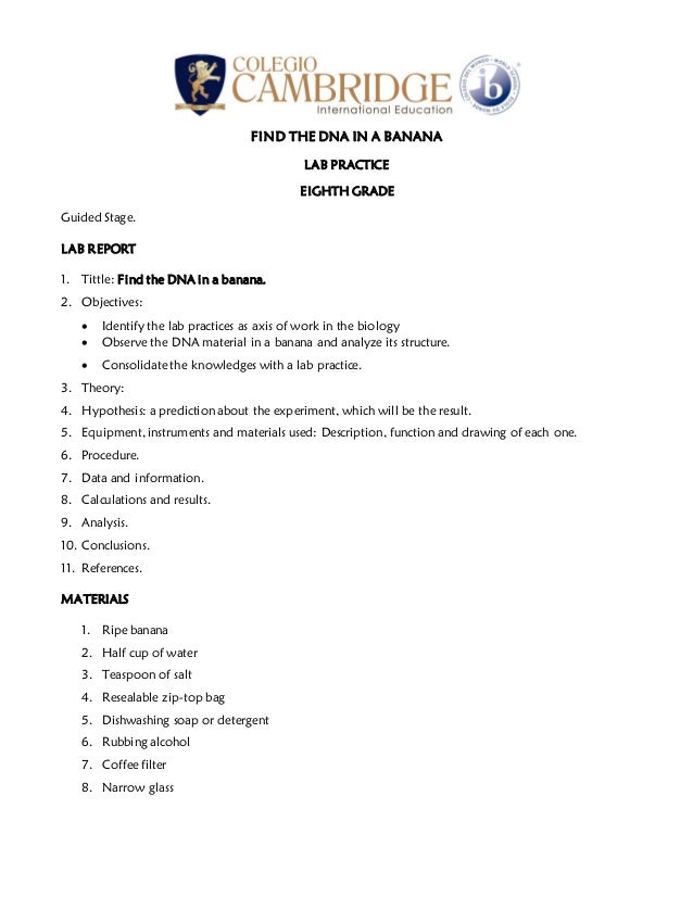 Dna extraction from banana ppt picture