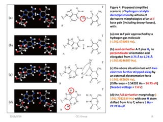 2016/8/16 CCL Group 16
Figure 4. Proposed simplified
scenario of hydrogen catalytic
decomposition by actions of
derivative morphologies of an A-T
base pair (including deoxyriboses),
with:
(a) one A-T pair approached by a
hydrogen gas molecule
(-1762.678093 Ha).
(b) semi-derivative A-T plus H2 in
perpendicular orientation and
elongated from 0.75 Å to 1.781Å
(-1763.0246307 Ha).
(c) the above situation but with two
electrons further stripped away by
an external electromotive force
(-1762.482609 Ha).
[Difference = 0.54202 Ha = 14.75 eV]
[Needed voltage = 7.4 V]
(d) the full derivative morphology (-
1762.7022339 Ha) with one H atom
drifted from A to T, where 1 Ha =
27.2116 eV.
 