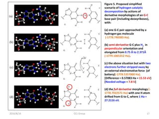 2016/8/16 CCL Group 17
Figure 5. Proposed simplified
scenario of hydrogen catalytic
decomposition by actions of
derivative morphologies of an G-C
base pair (including deoxyriboses),
with:
(a) one G-C pair approached by a
hydrogen gas molecule
(-1778.740383 Ha).
(b) semi-derivative G-C plus H2 in
perpendicular orientation and
elongated from 0.75 Å to 2.371Å
(-1779.1065312 Ha).
(c) the above situation but with two
electrons further stripped away by
an external electromotive force (of
battery)(-1778.5357000 Ha).
[Difference = 0.57083 Ha = 15.53 eV]
[Needed voltage = 7.8 V]
(d) the full derivative morphology (-
1778.7922571 Ha) with one H atom
drifted from G to C, where 1 Ha =
27.2116 eV.
 