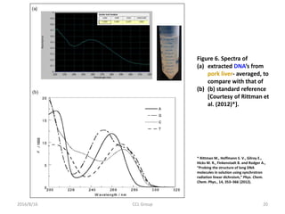 2016/8/16 CCL Group 20
Figure 6. Spectra of
(a) extracted DNA’s from
pork liver- averaged, to
compare with that of
(b) (b) standard reference
[Courtesy of Rittman et
al. (2012)*].
* Rittman M., Hoffmann S. V., Gilroy E.,
Hicks M. R., Finkenstadt B. and Rodger A.,
“Probing the structure of long DNA
molecules in solution using synchrotron
radiation linear dichroism,” Phys. Chem.
Chem. Phys., 14, 353–366 (2012).
 